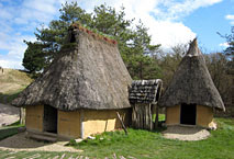 Habitat age du Bronze